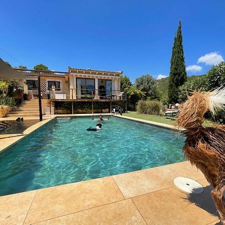 بولوب El Paraiso De Los Perros المظهر الخارجي الصورة