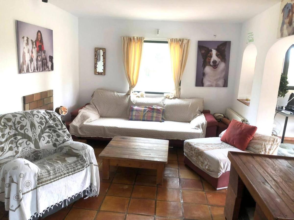 بولوب El Paraiso De Los Perros المظهر الخارجي الصورة