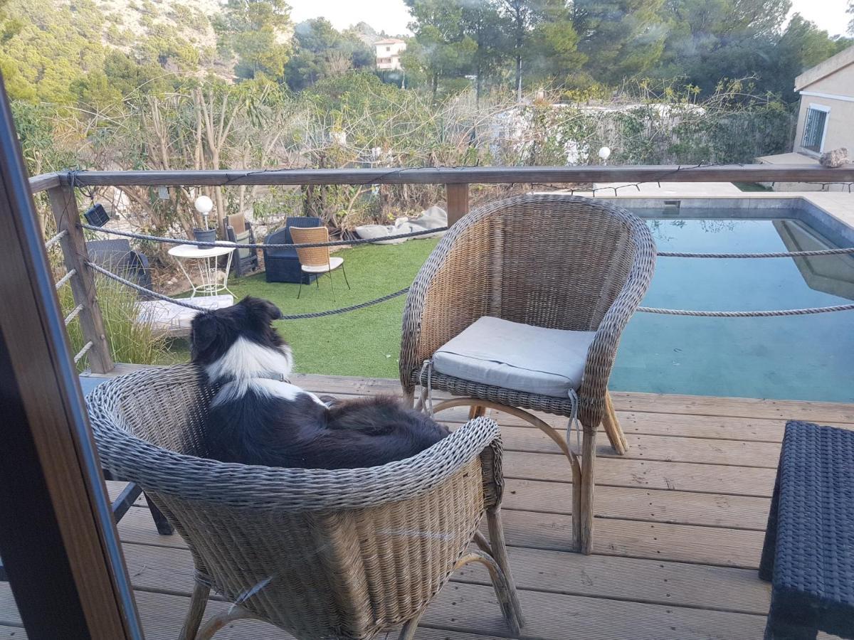 بولوب El Paraiso De Los Perros المظهر الخارجي الصورة